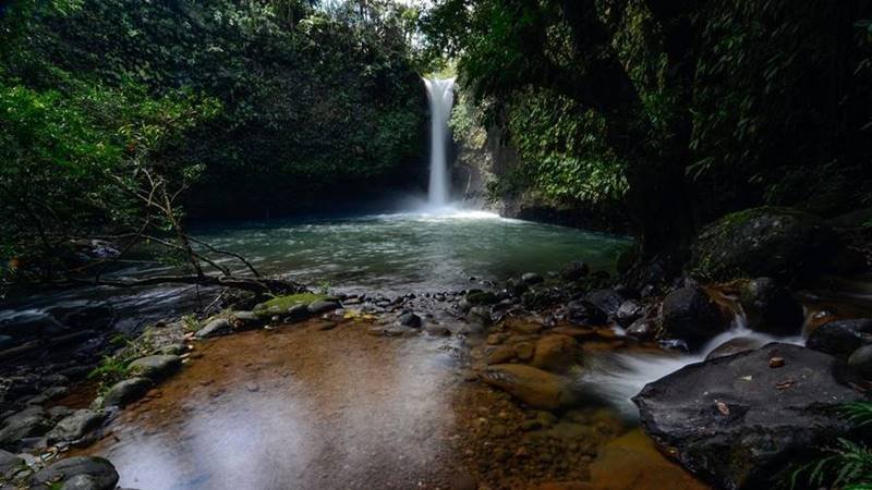 ecuador nature reserve for sale, fsbo platform, real estate ecuador, properties for sale ecuador, puerto quito ecuador, seo for real estate, for sale by owner properties, fsbo, for sale by owner property, one of a kind listing, nature reserve for sale in ecuador, river front properties, ba